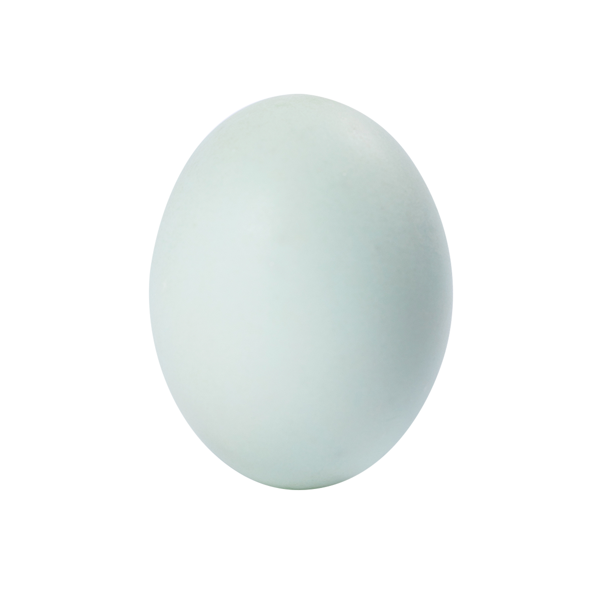 Lovepik_com-401747987-salted-duck-eggs