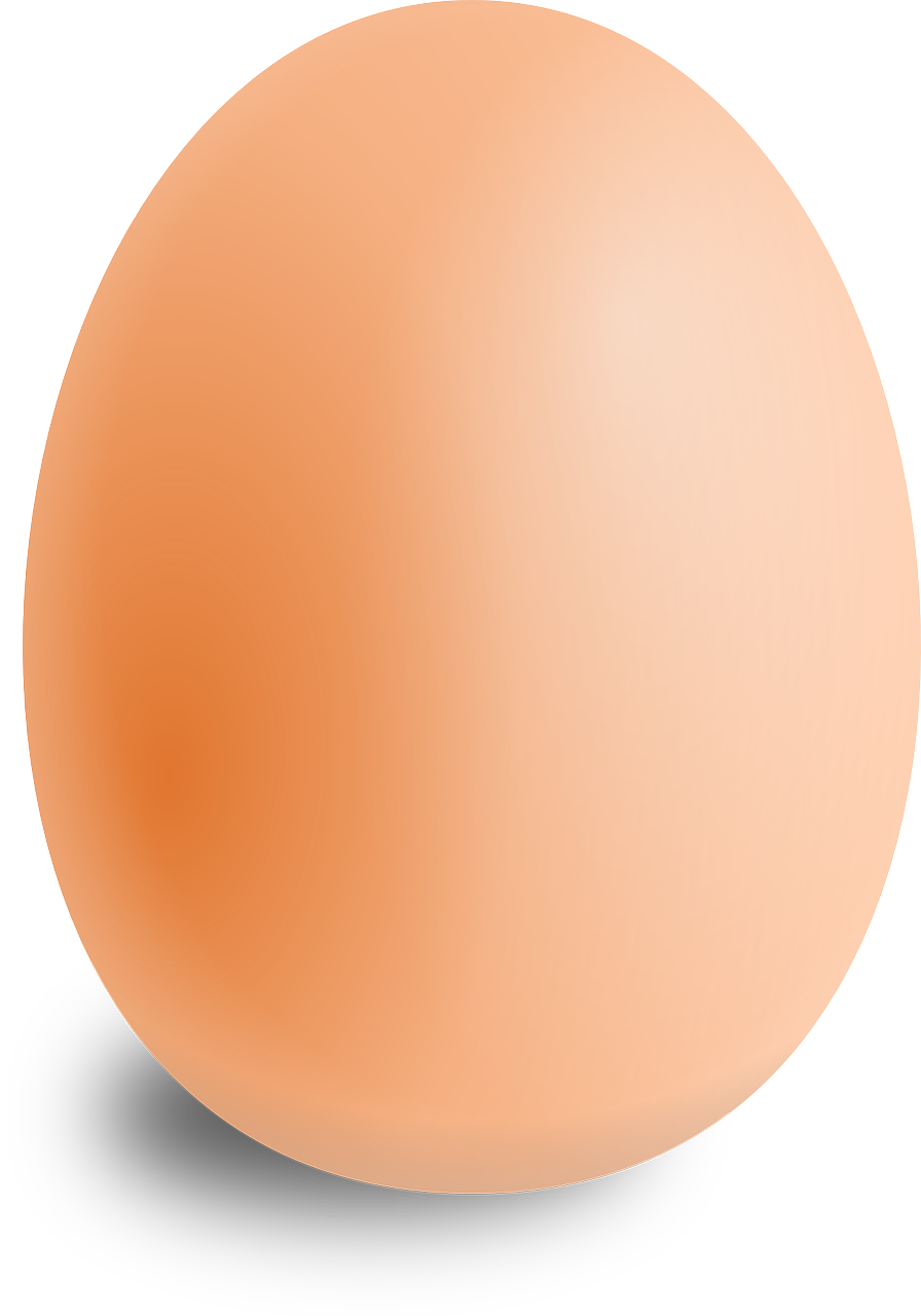 egg-g96e448806_1280