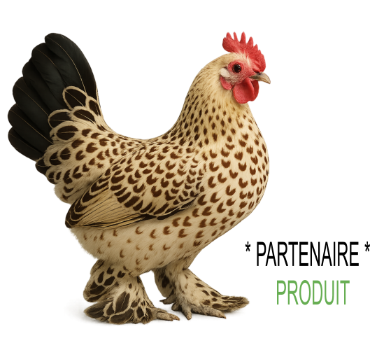 PERTENAIRE PACK INDIVUDUEL SABELPOOT